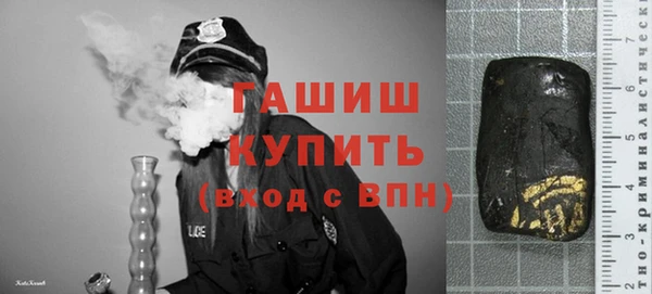 индика Сосновка