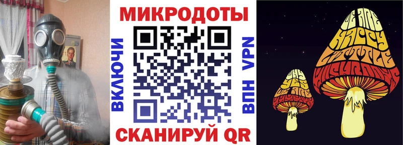 магазин продажи наркотиков Дальнегорск Галлюциногенные грибы GOLDEN TEACHER
